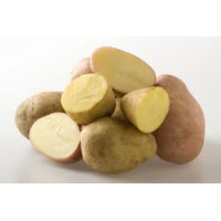 Holandské zemiaky 5kg